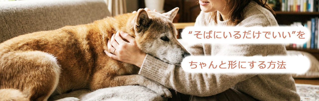 犬のしつけ（吠える・トイレ）「サンライトジゲ」杉並区