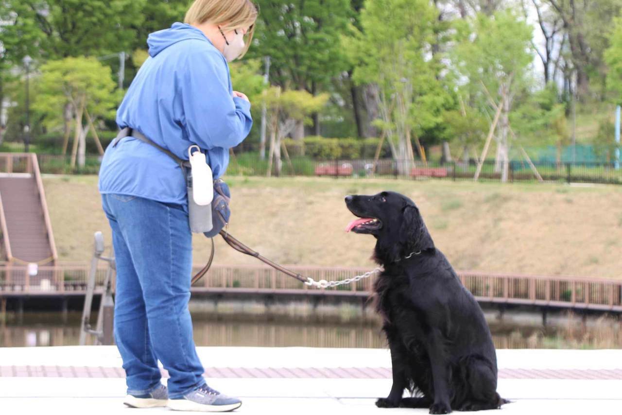 犬の吠え癖・トイレのしつけ | おこらないサポート