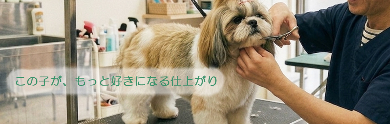 犬のしつけ（吠える・トイレ）「サンライトジゲ」杉並区