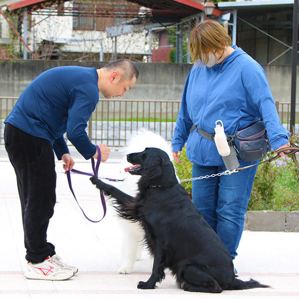 犬の吠え癖・トイレのしつけ | おこらないサポート